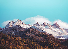 官方网站-8868体育：用科技点亮运动生活的每一天